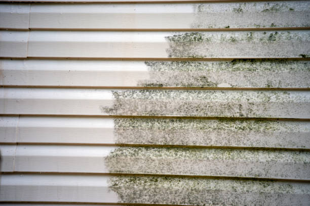 How To Choose The Right Materials for Your Siding Installation in 'Springdale, OH